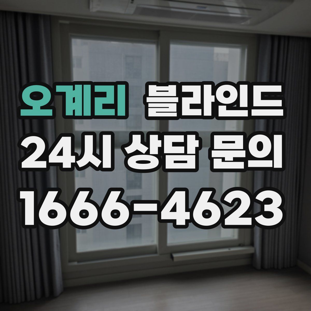 오계리 블라인드