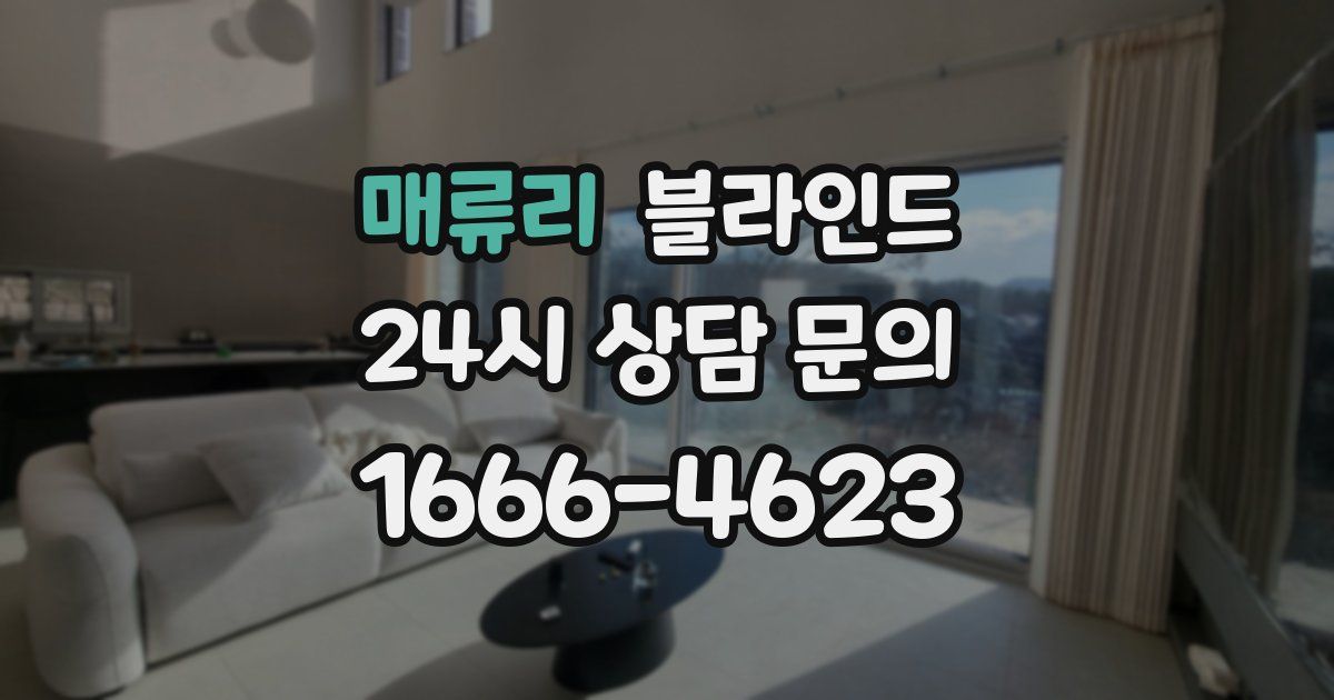 매류리 블라인드
