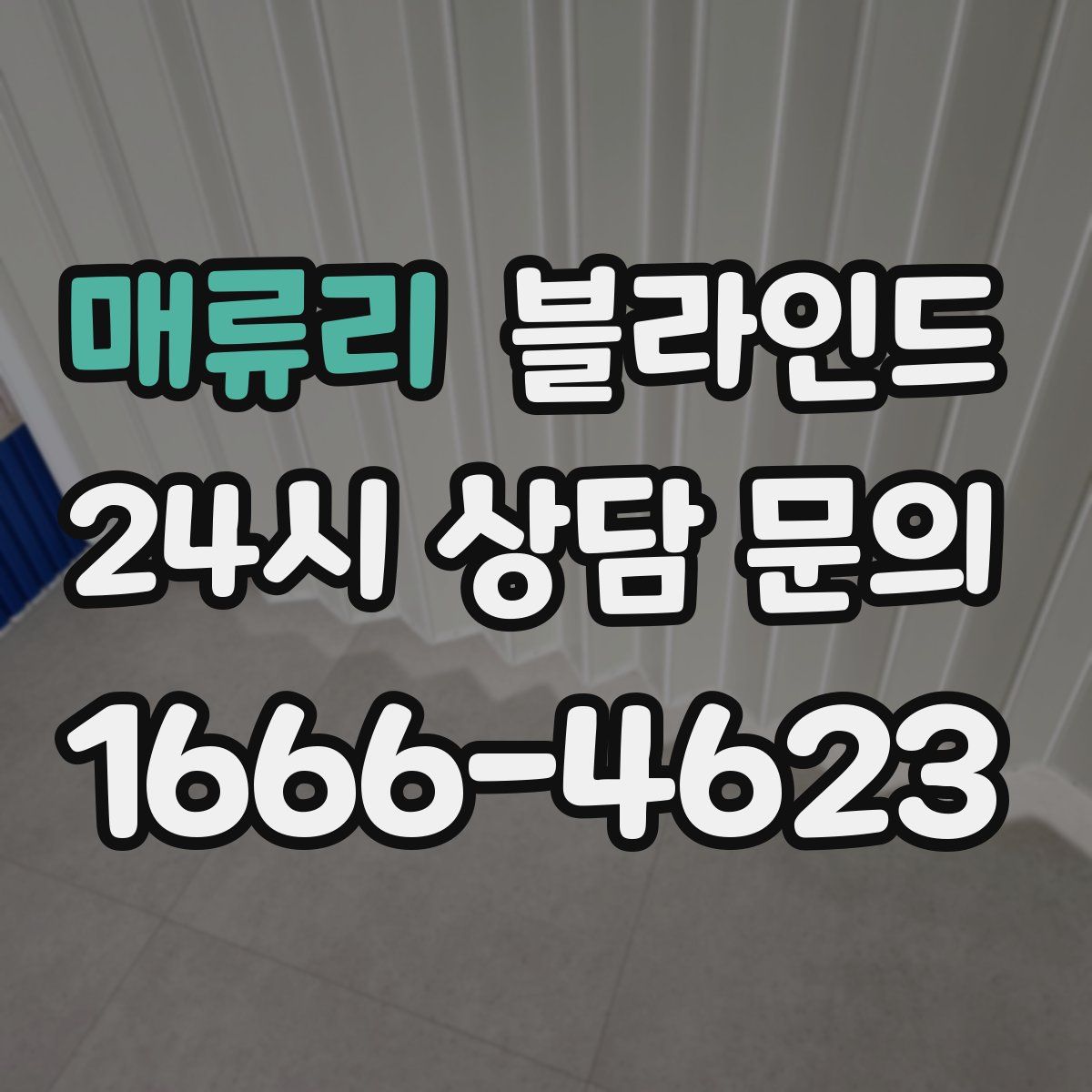 매류리 블라인드