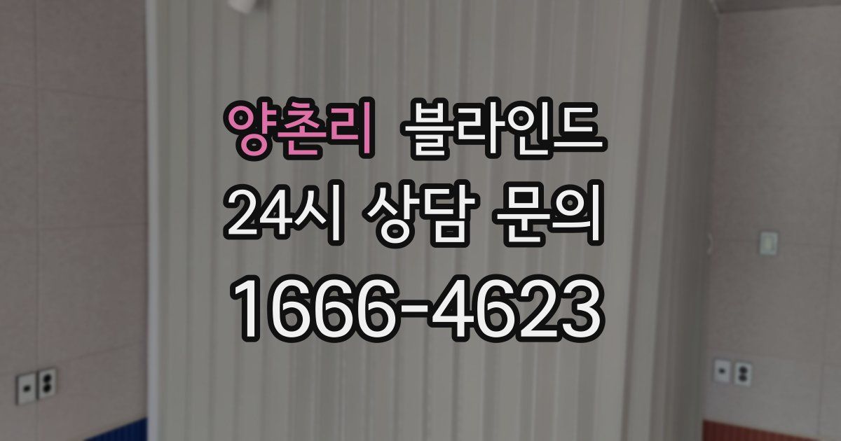 양촌리 블라인드