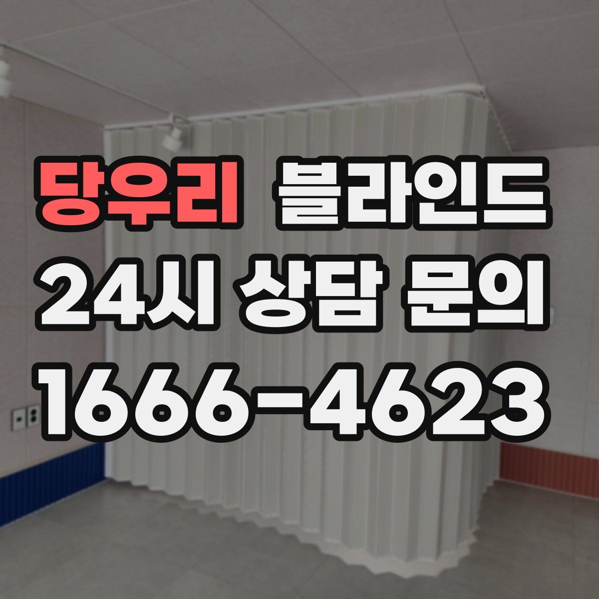 당우리 블라인드