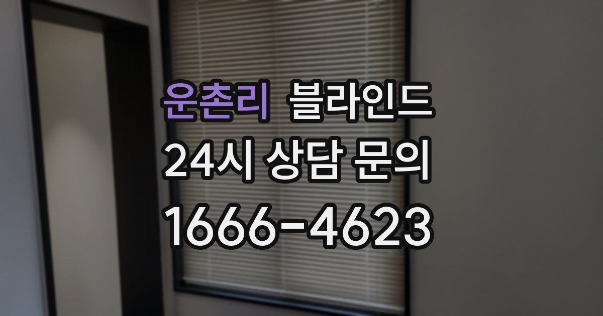 운촌리 블라인드
