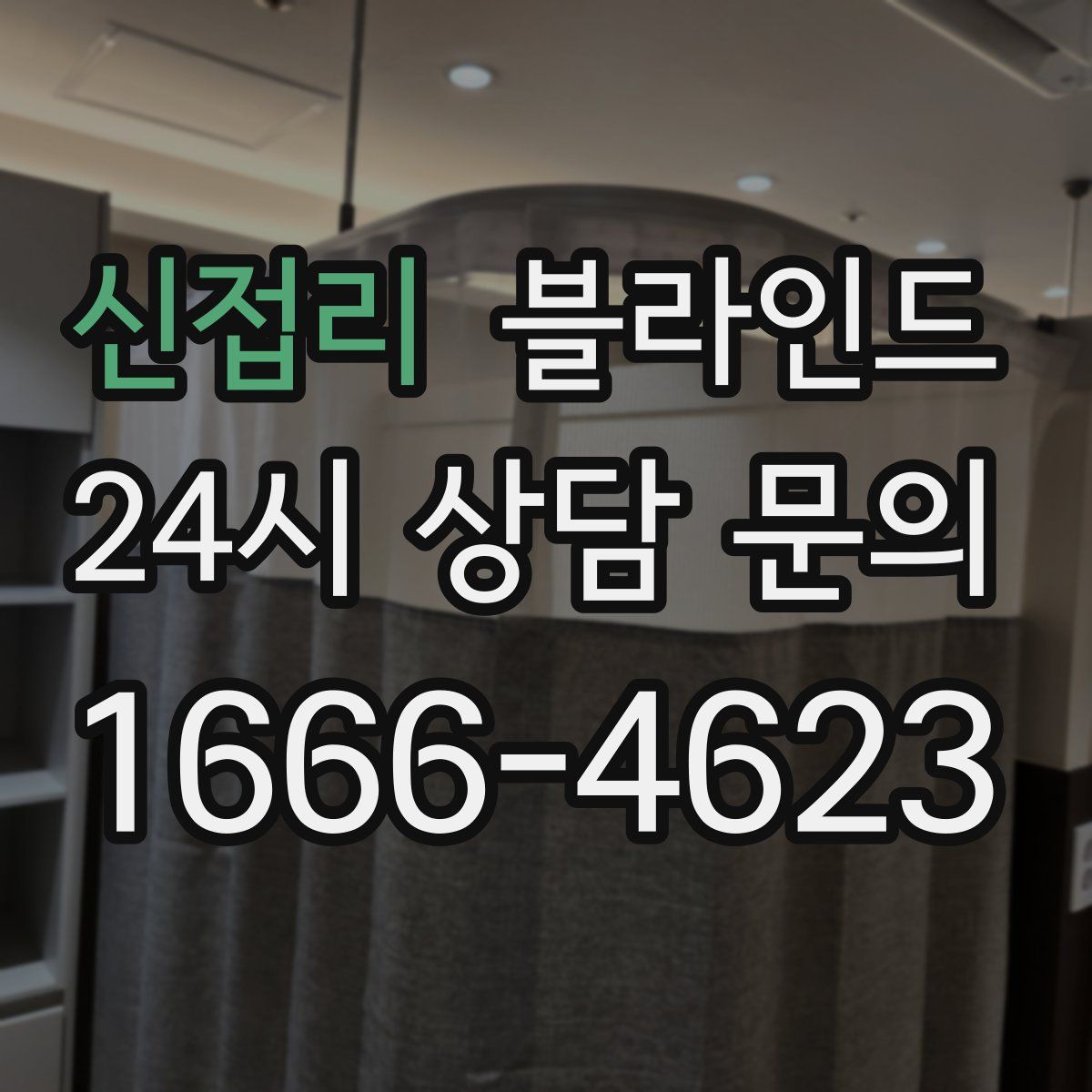 신접리 블라인드