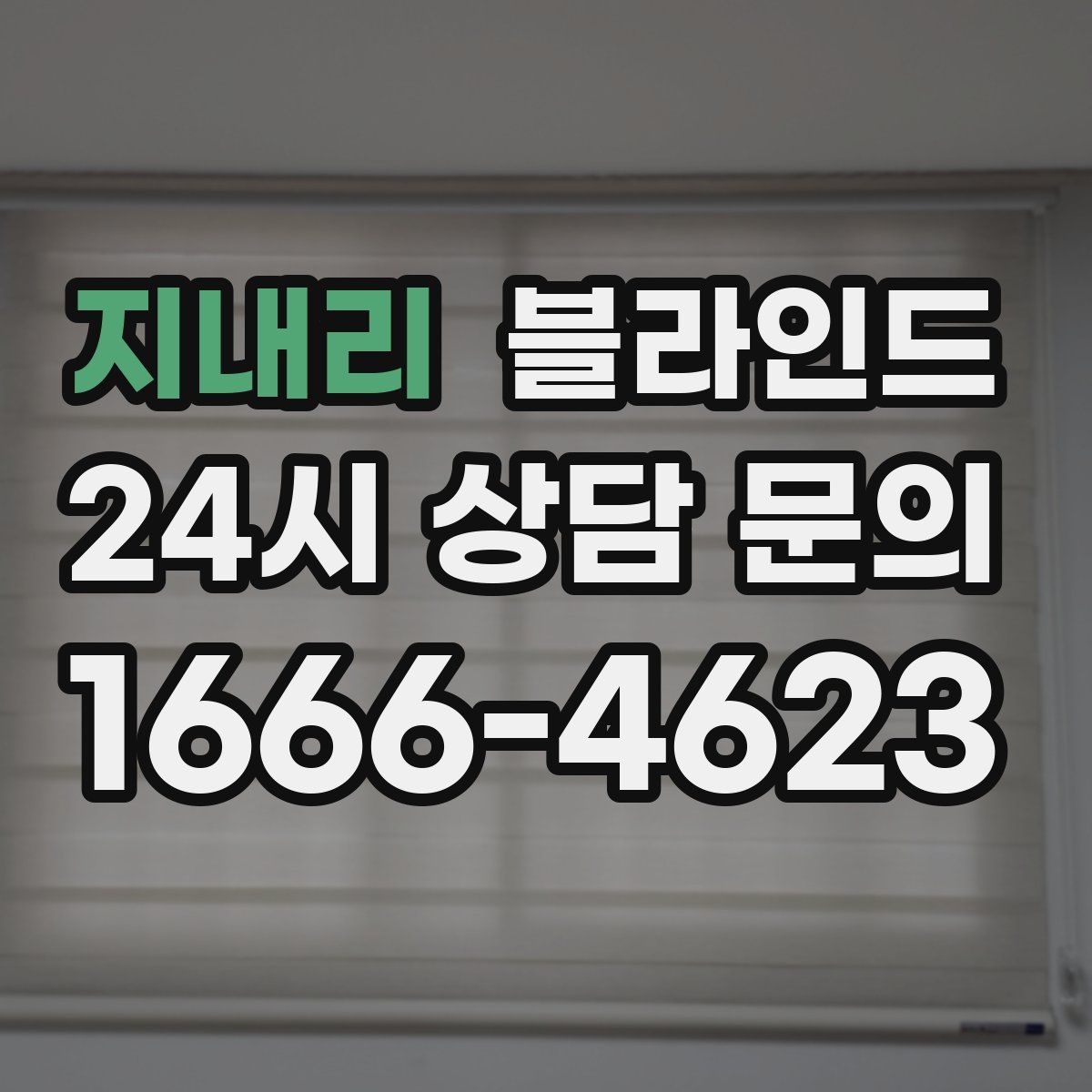 지내리 블라인드