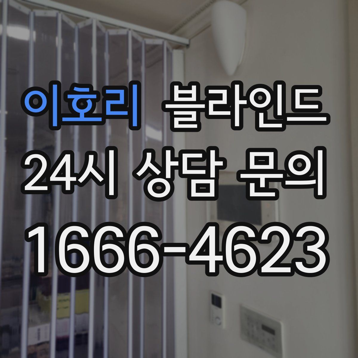 이호리 블라인드