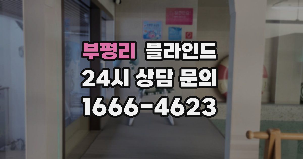 부평리 블라인드