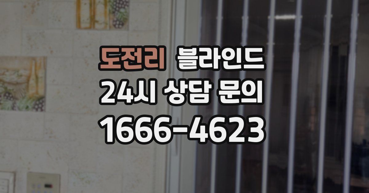 도전리 블라인드