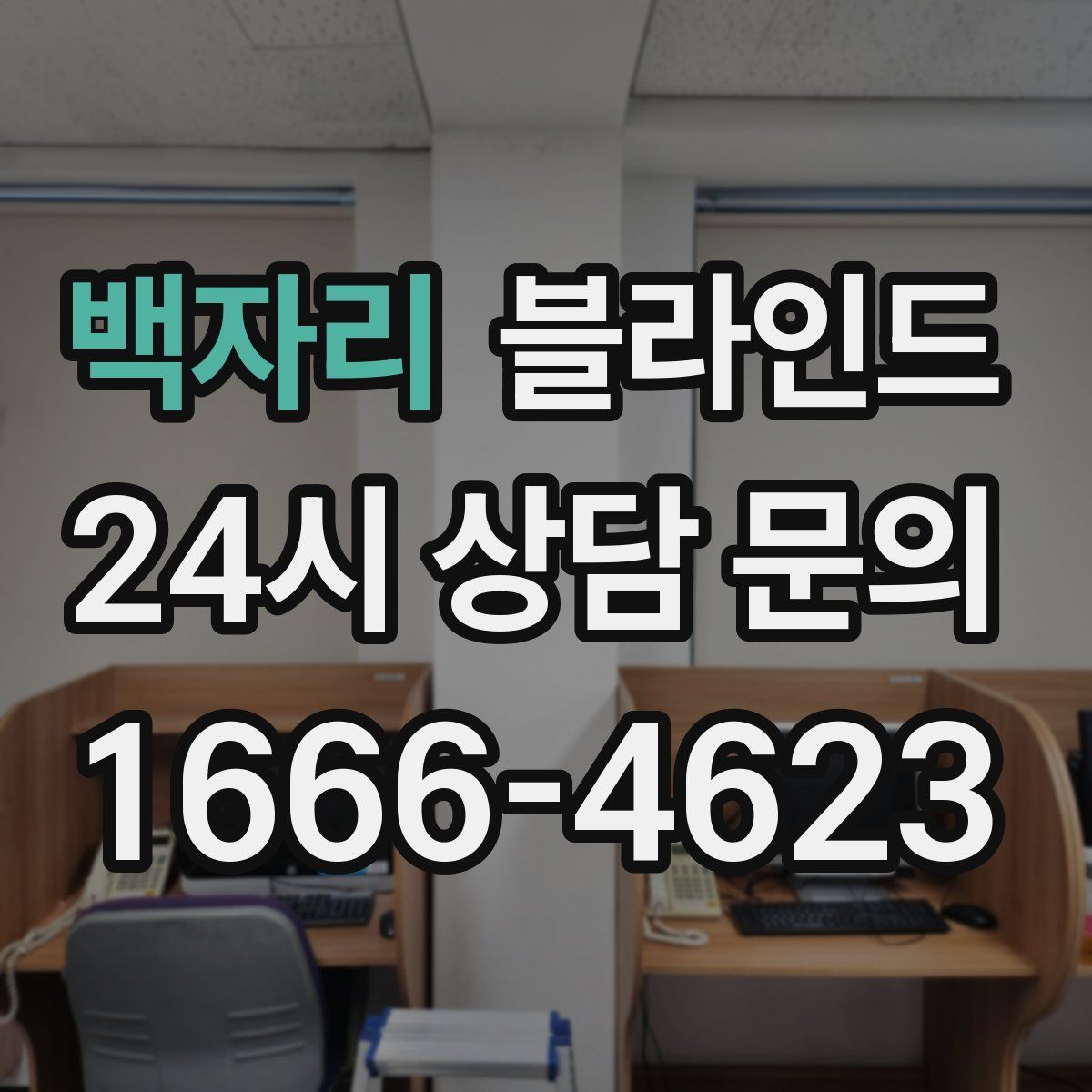 백자리 블라인드