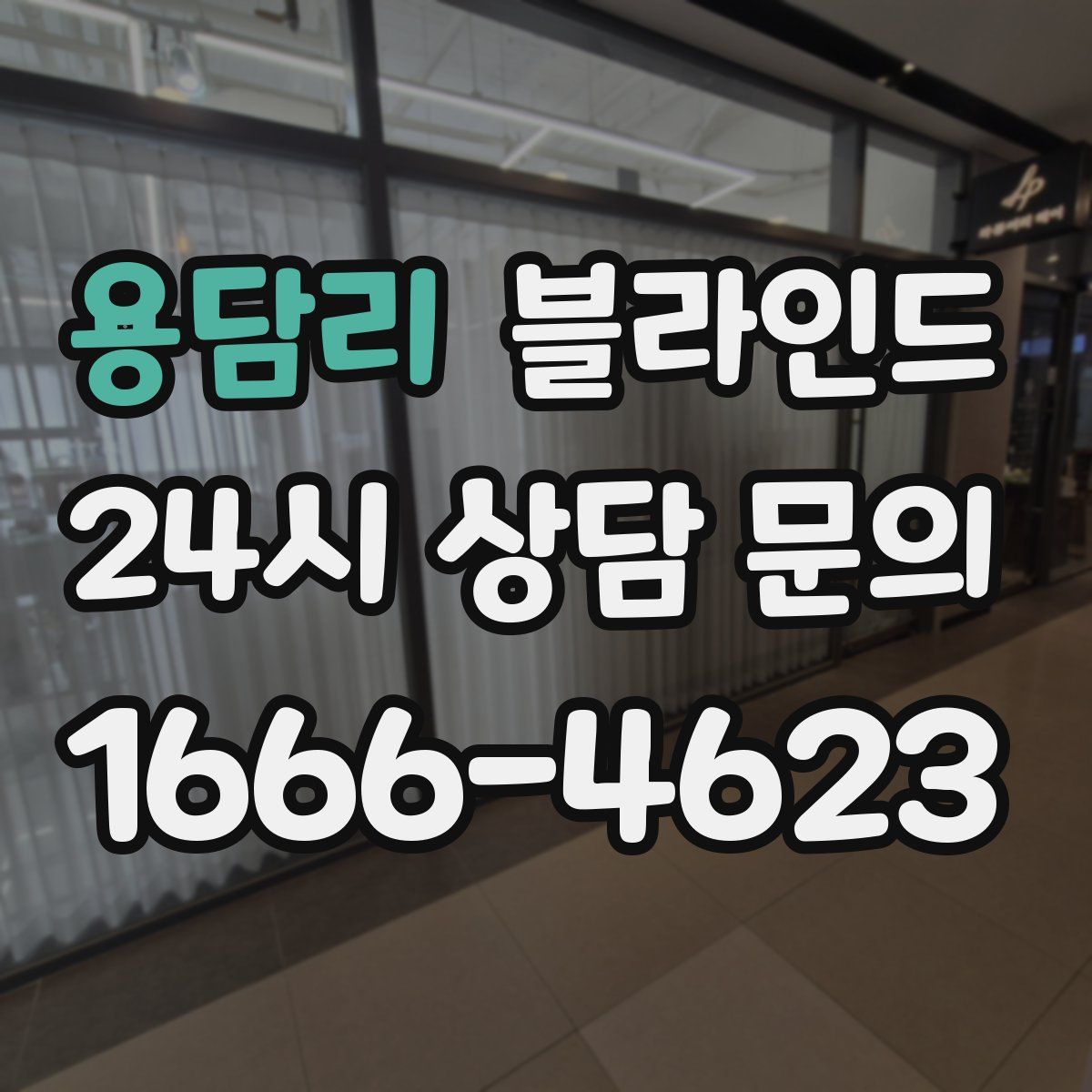 용담리 블라인드
