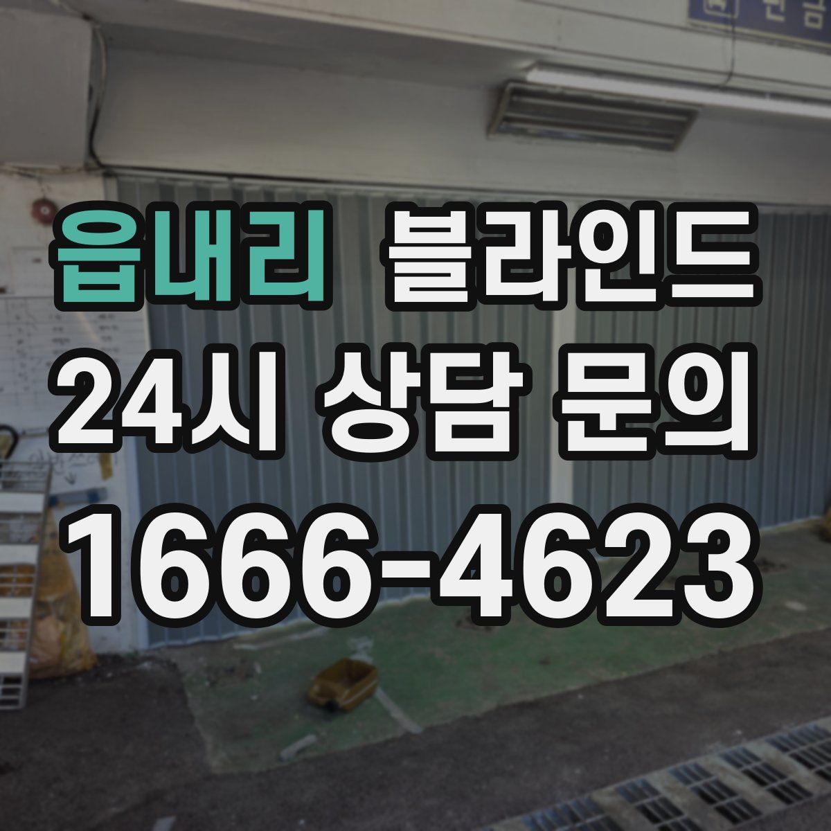 읍내리 블라인드