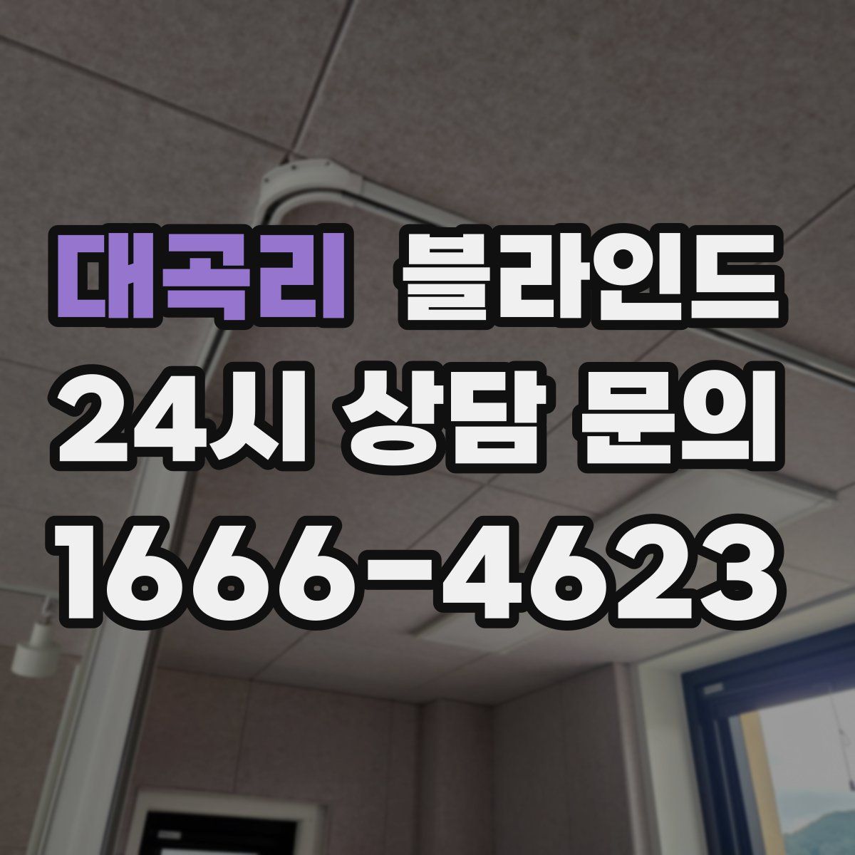 대곡리 블라인드
