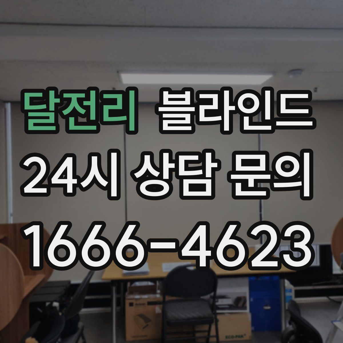 달전리 블라인드