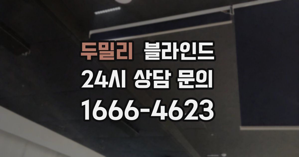 두밀리 블라인드