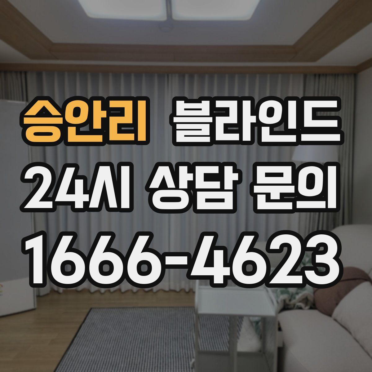 승안리 블라인드