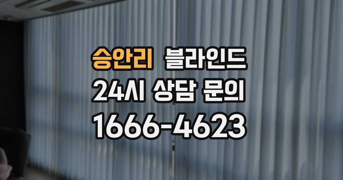 승안리 블라인드