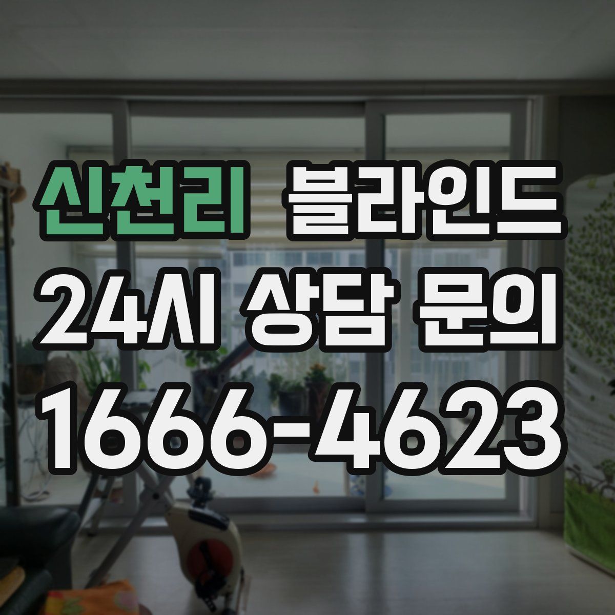 신천리 블라인드