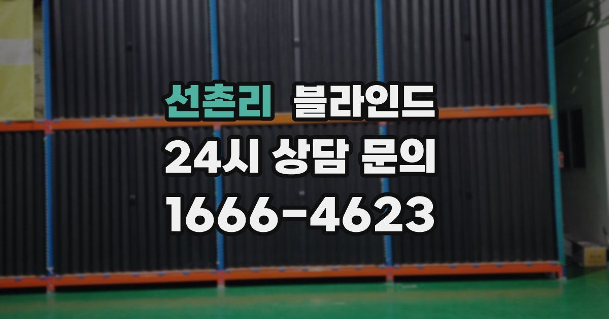 선촌리 블라인드