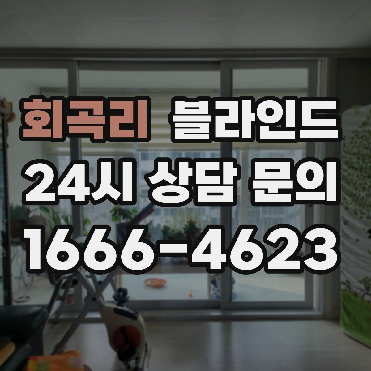 회곡리 블라인드