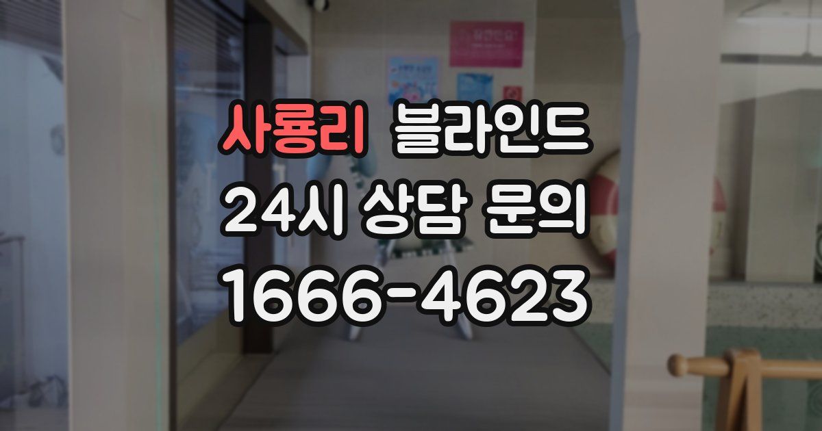 사룡리 블라인드
