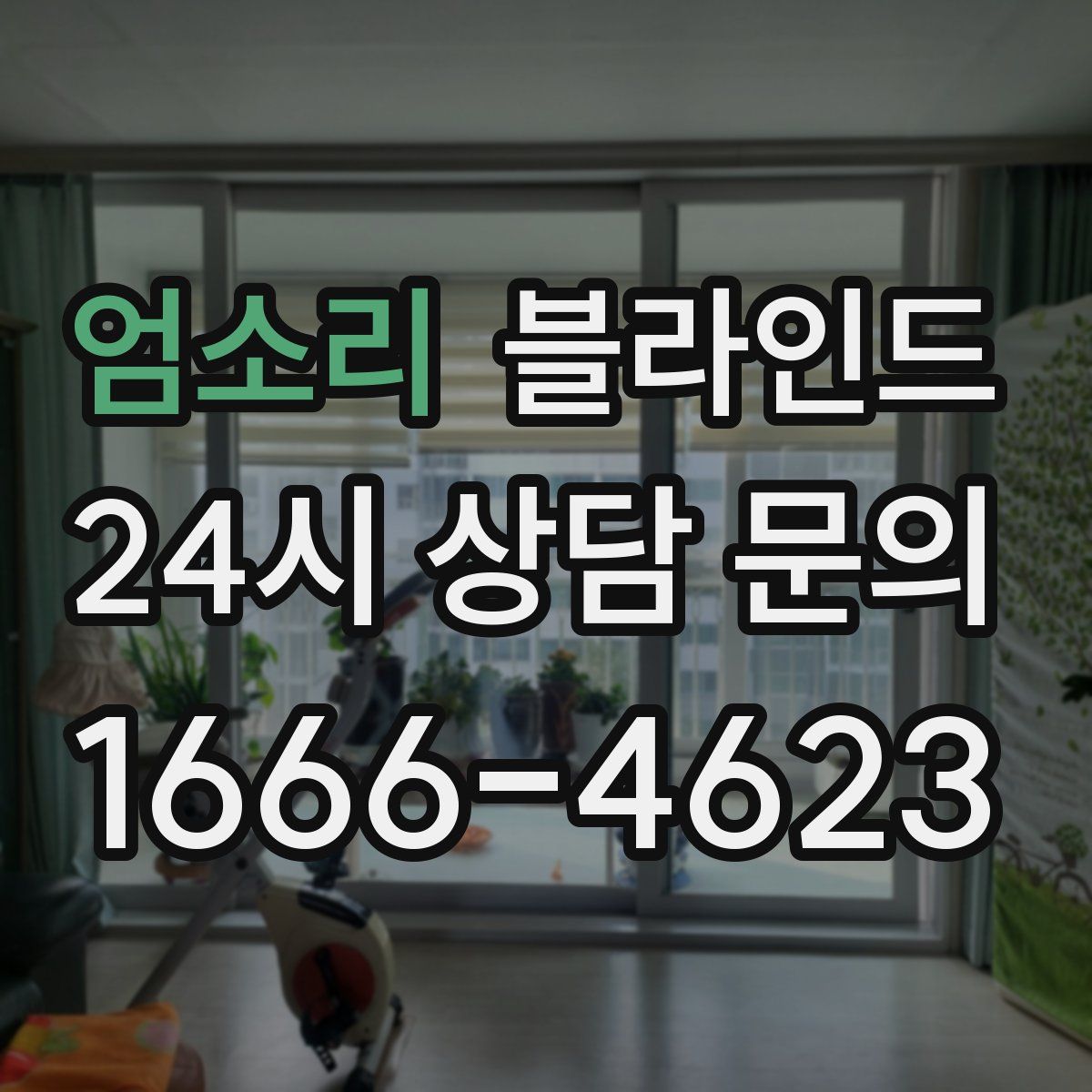 엄소리 블라인드