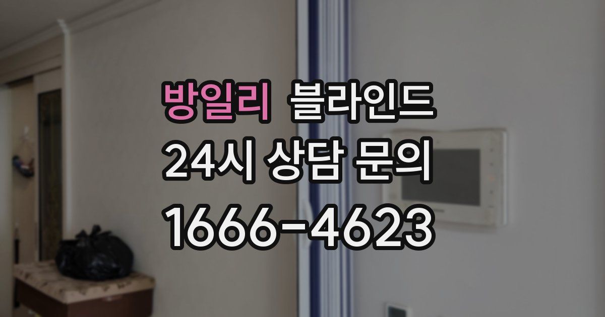 방일리 블라인드