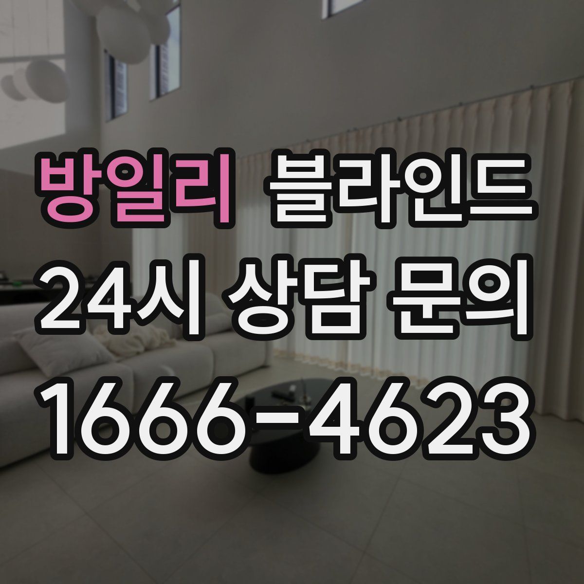 방일리 블라인드