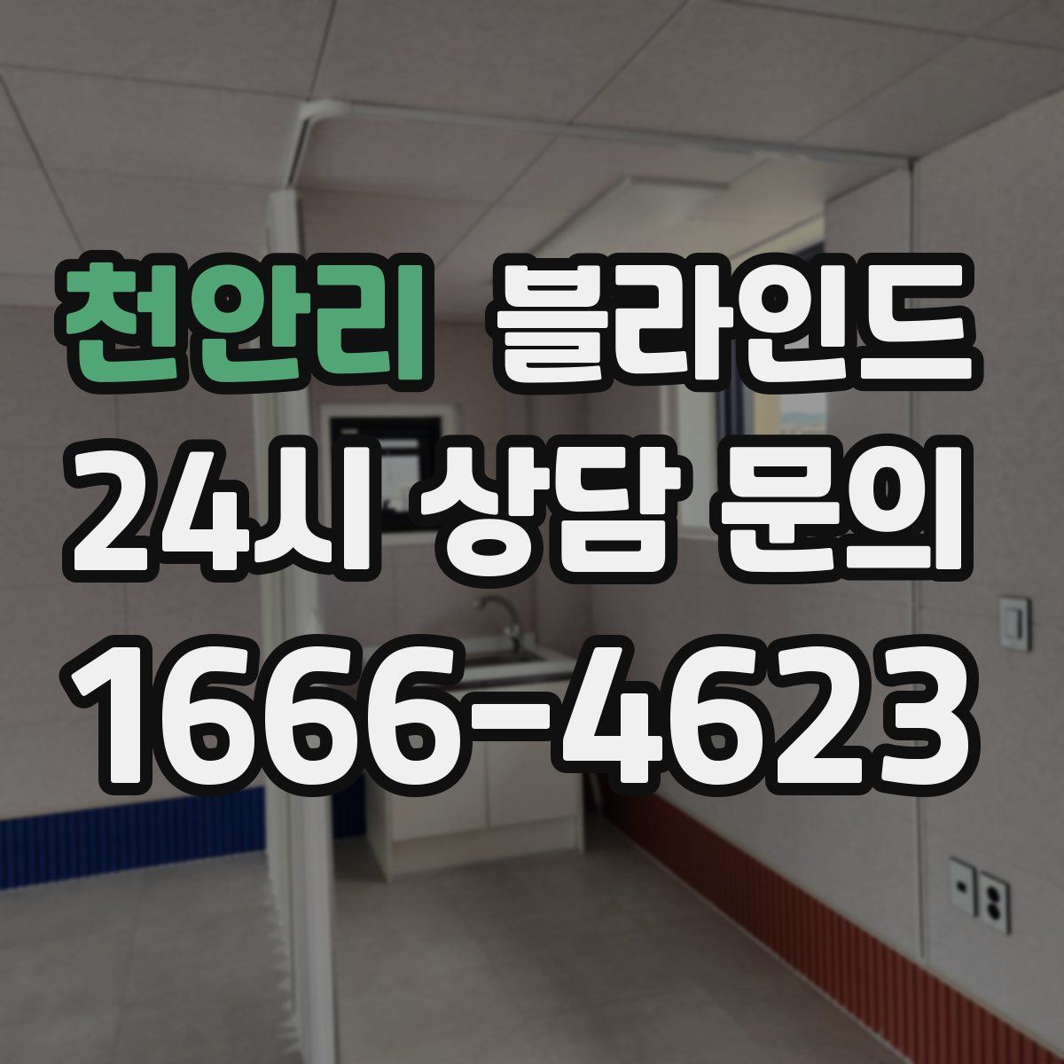 천안리 블라인드