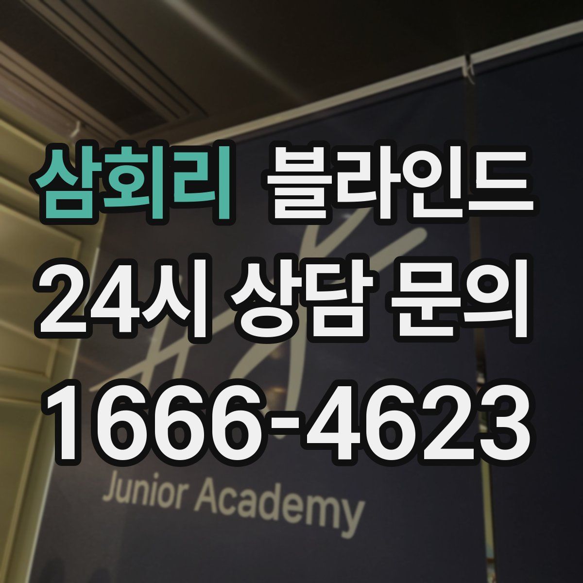 삼회리 블라인드