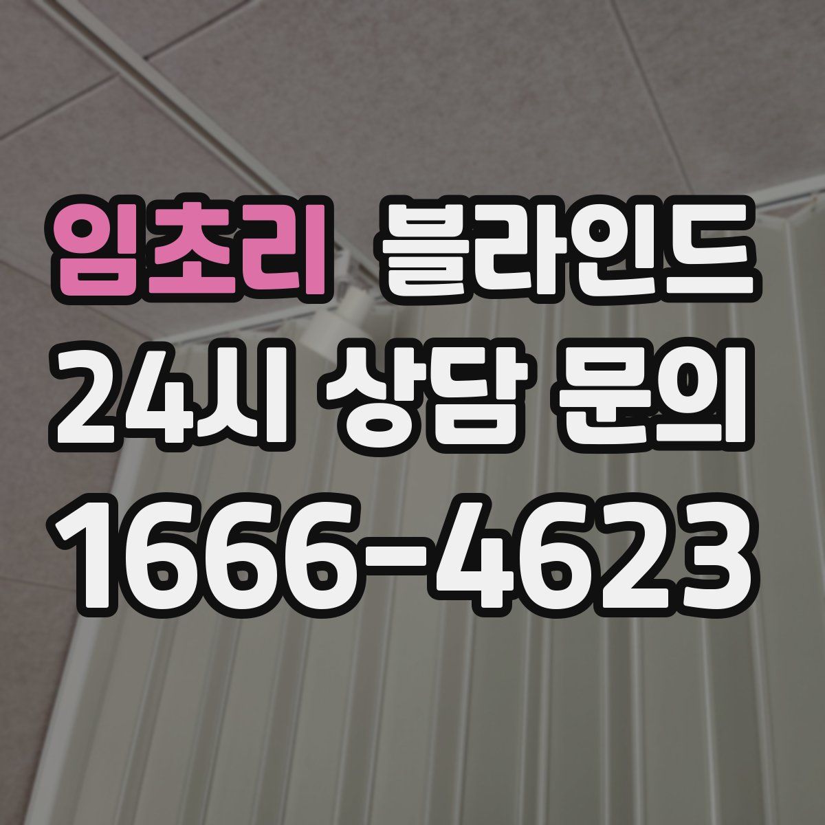 임초리 블라인드