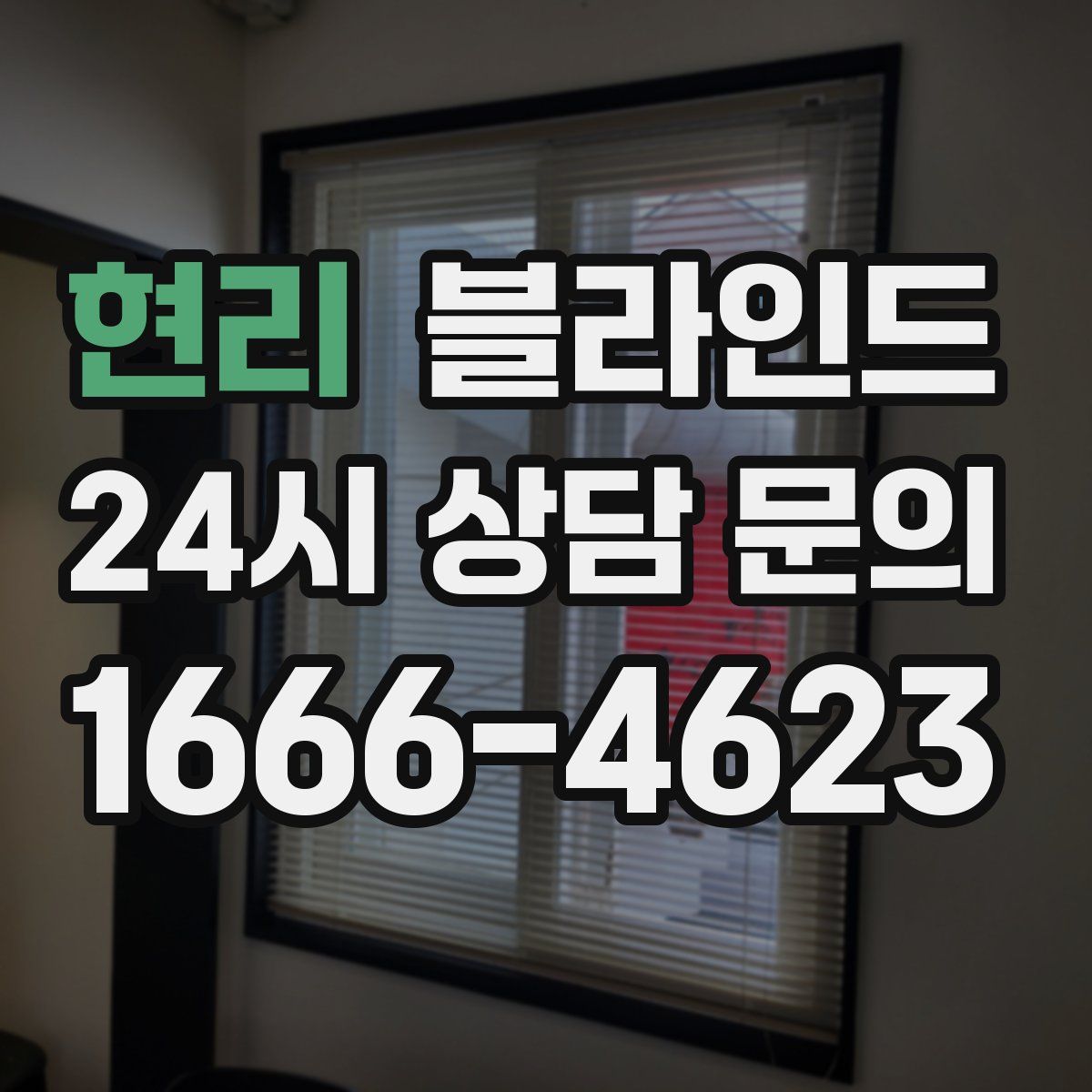 현리 블라인드