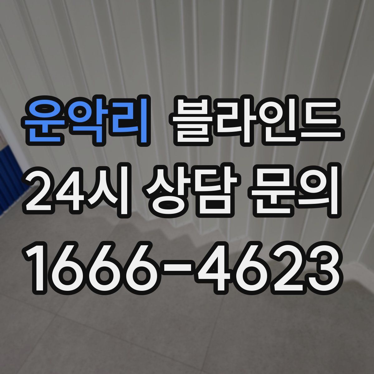 운악리 블라인드