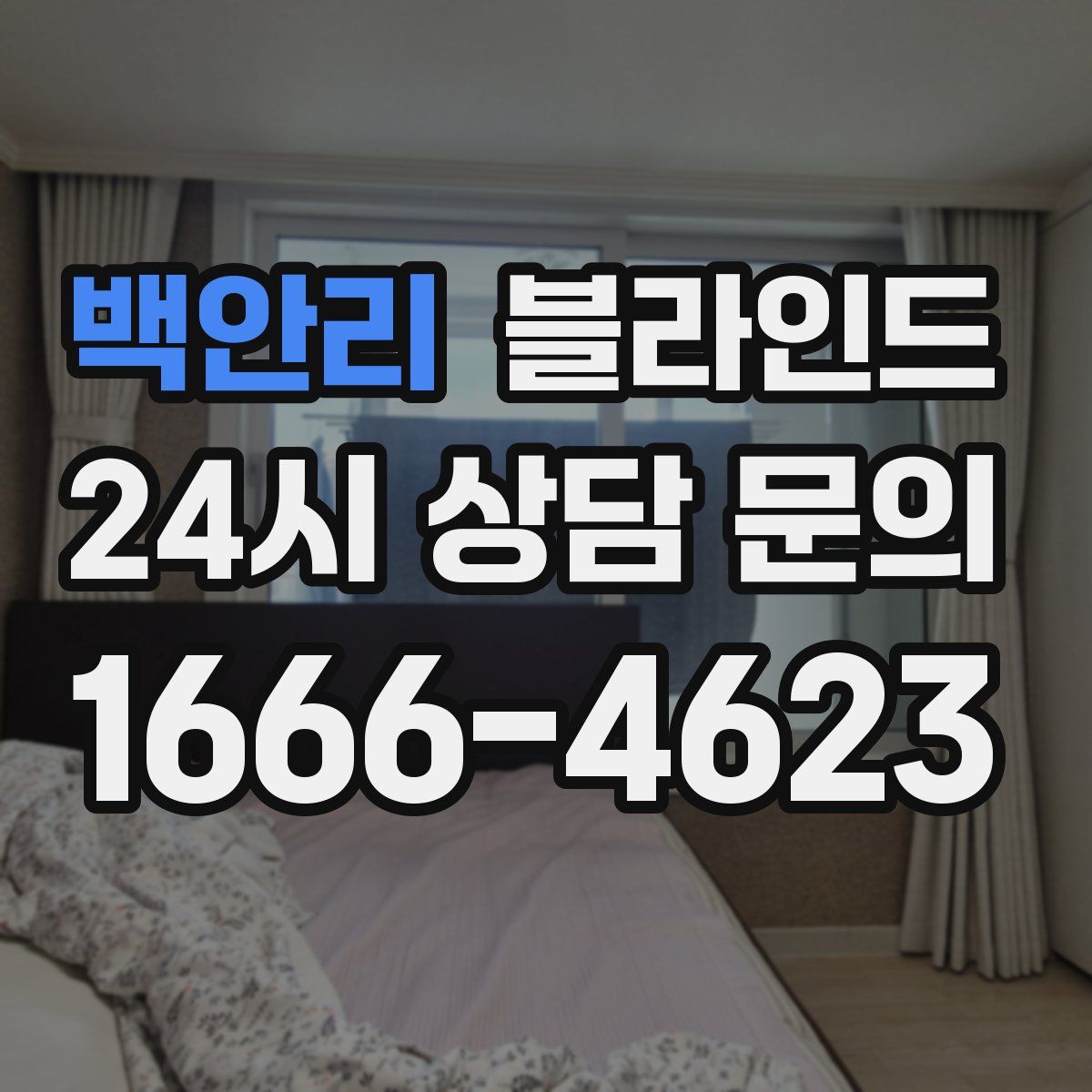 백안리 블라인드