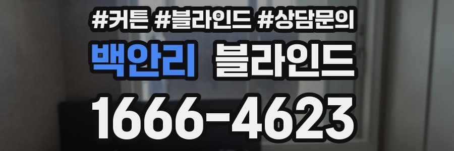 백안리 블라인드