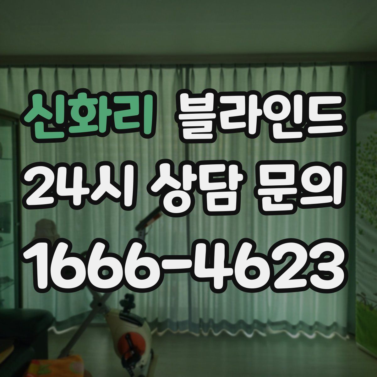 신화리 블라인드