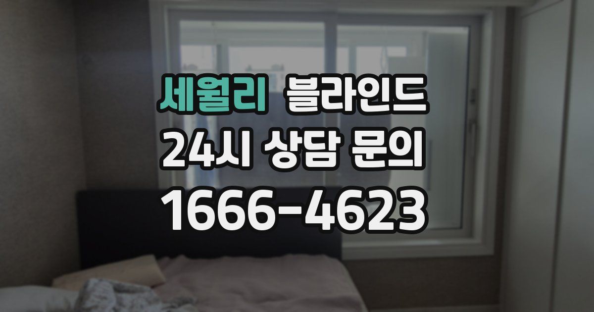 세월리 블라인드
