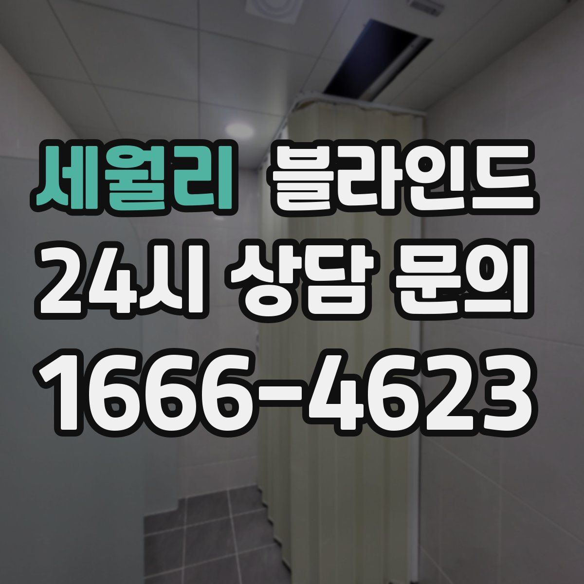 세월리 블라인드