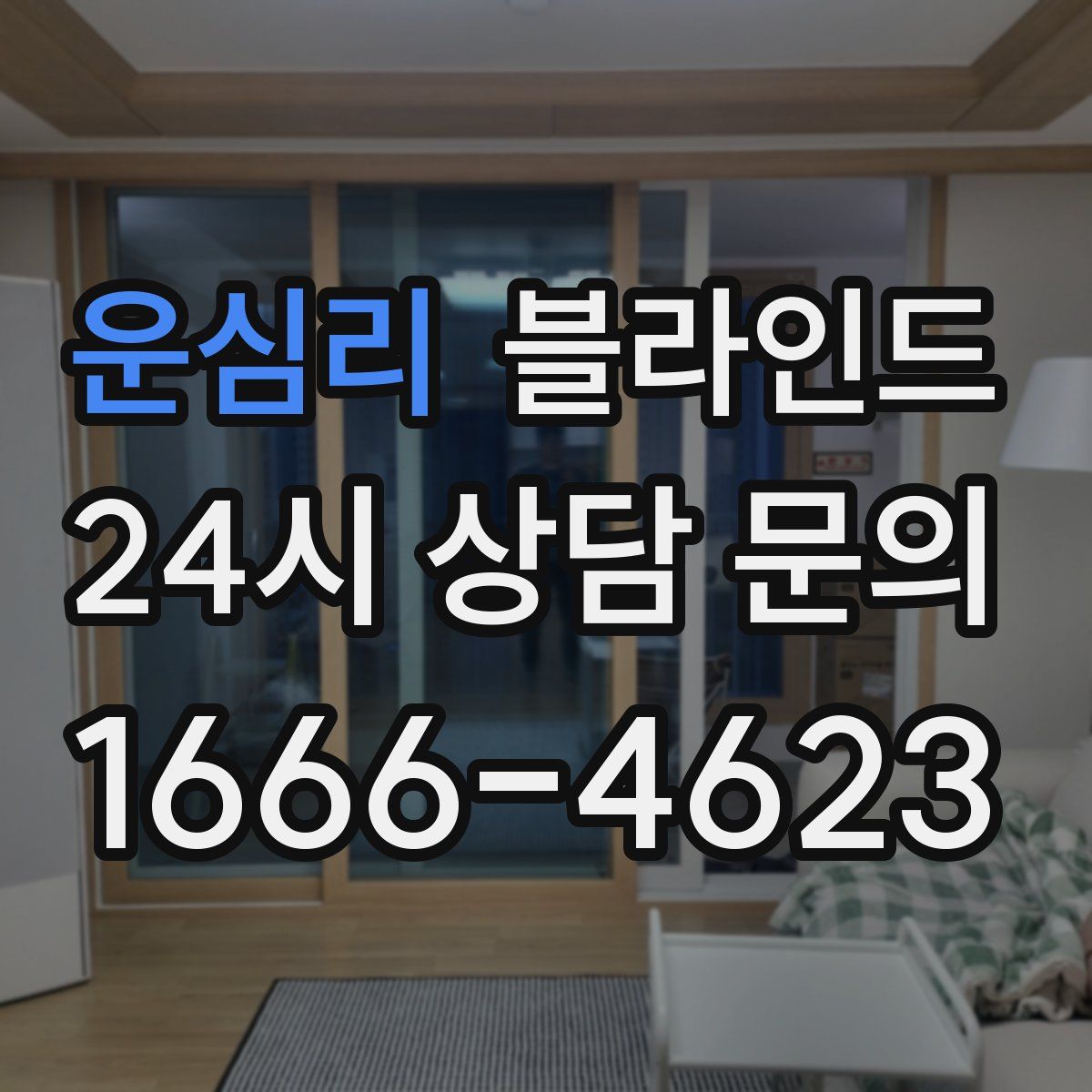 운심리 블라인드