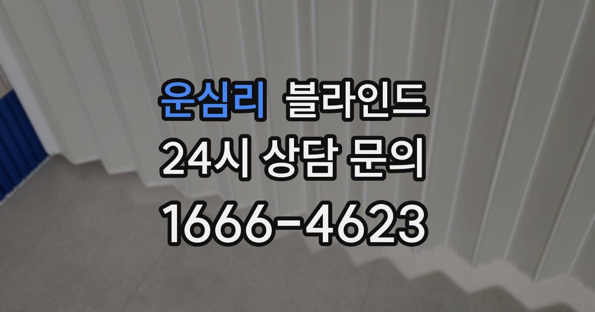운심리 블라인드