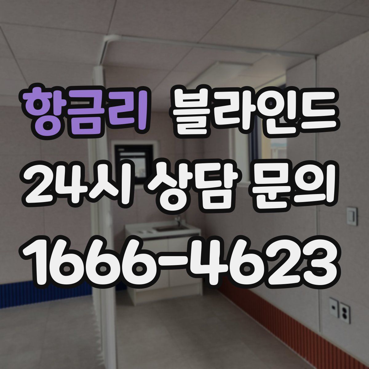 항금리 블라인드