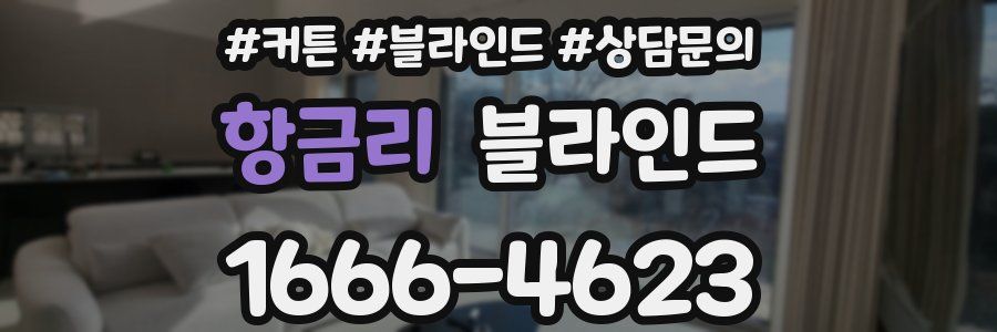 항금리 블라인드