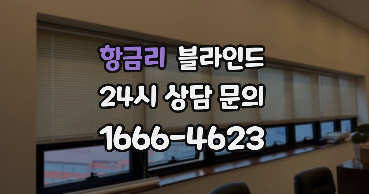 항금리 블라인드