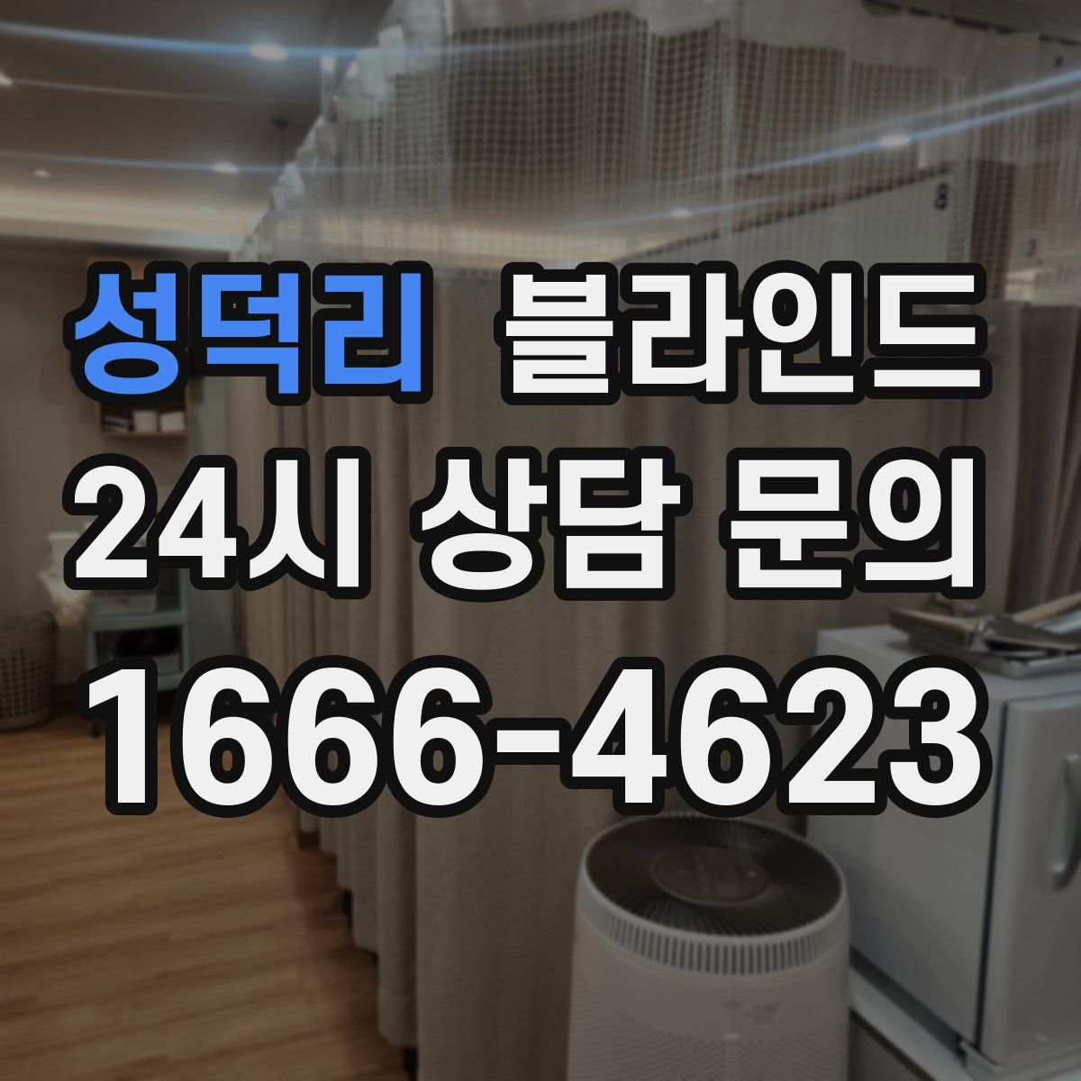 성덕리 블라인드