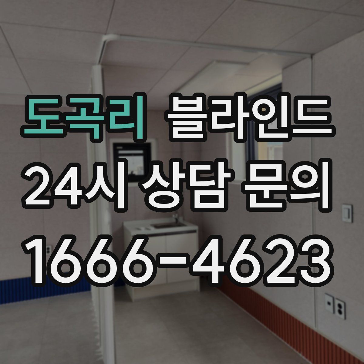 도곡리 블라인드