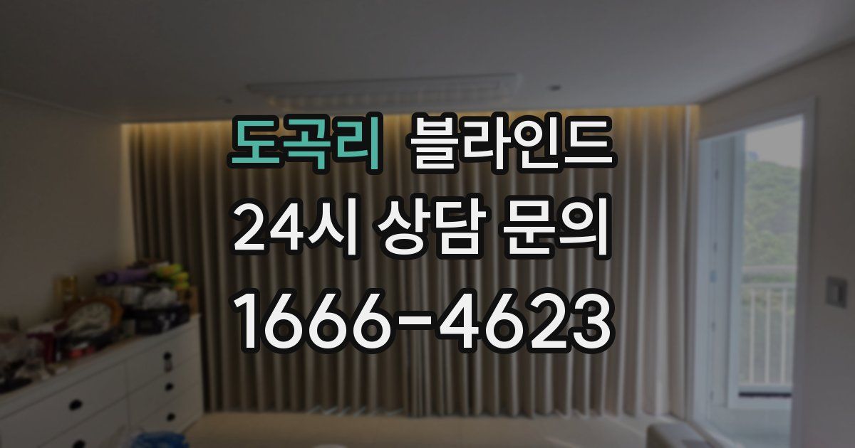 도곡리 블라인드