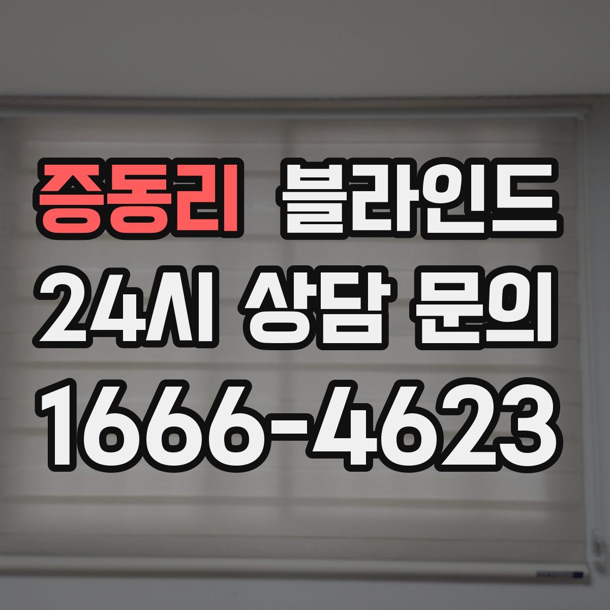 증동리 블라인드