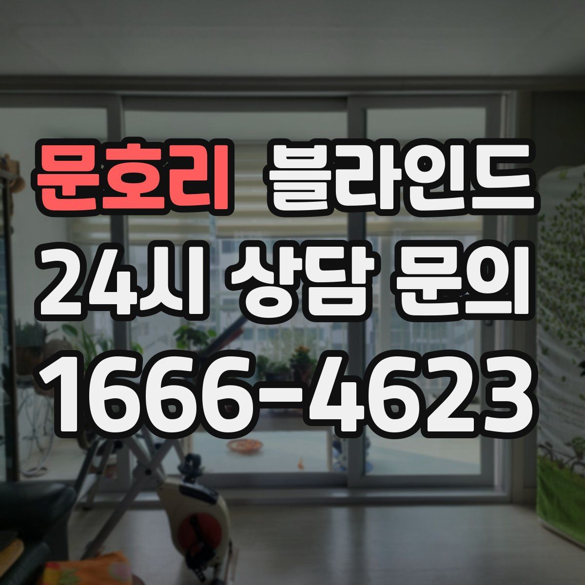 문호리 블라인드