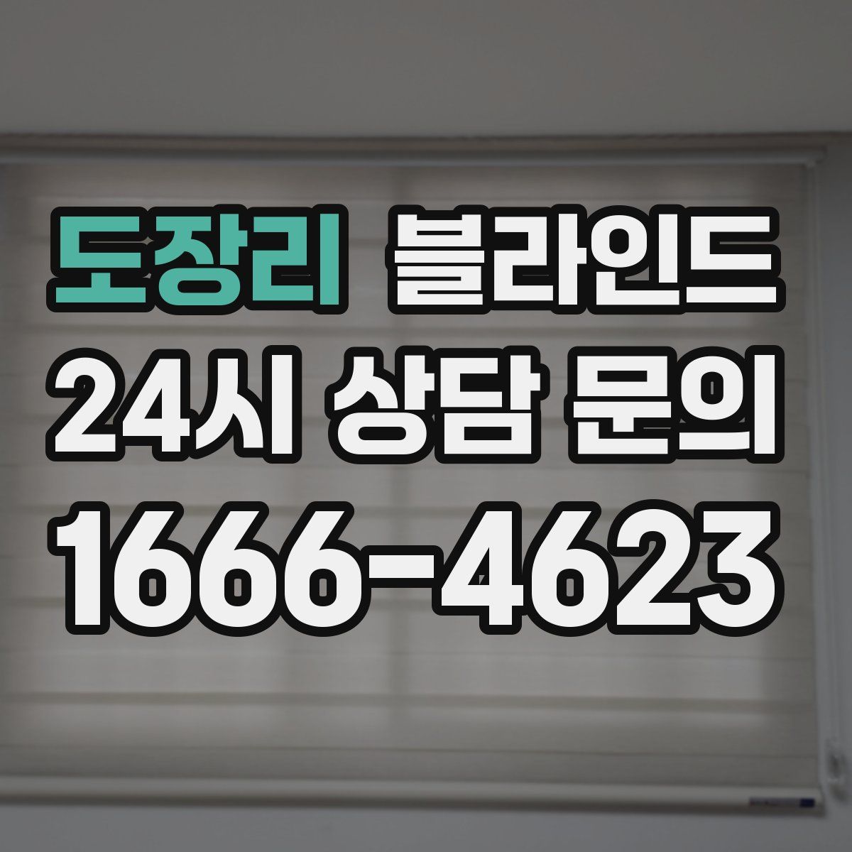 도장리 블라인드