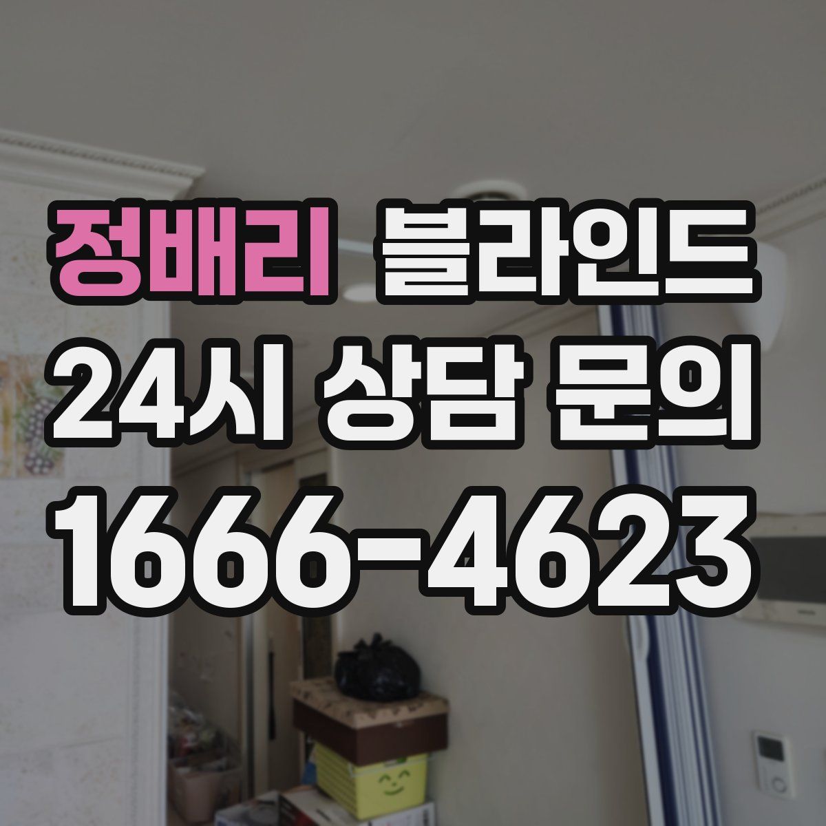 정배리 블라인드
