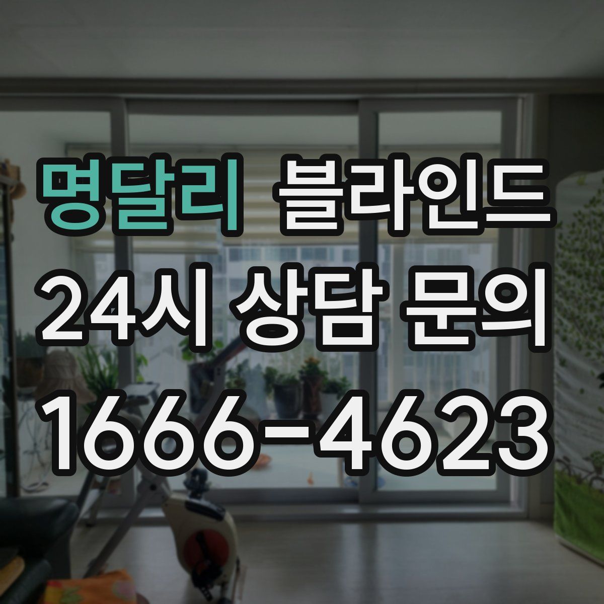 명달리 블라인드