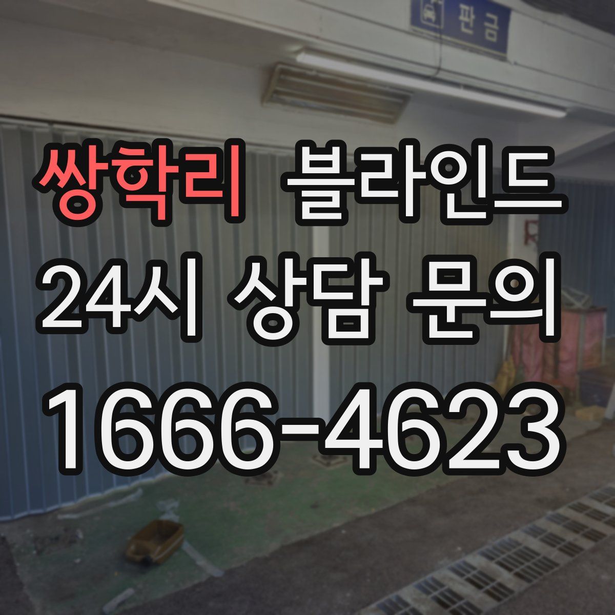 쌍학리 블라인드